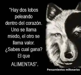 hay_dos_lobos_peleando_dentro_del_corazon_uno_se_llama_miedo_el_otro_se_llama_valor_sabes_cual_gana_el_que_alimentas