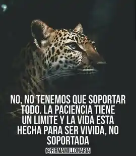 no_no_tenemos_que_soportar_todo_la_paciencia_tiene_un_limite_y_la_vida_esta_hecha_para_ser_vivida_no_soportada