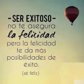 ser_exitoso_no_te_asegura_la_felicidad_pero_la_felicidad_te_da_mas_posibilidades_de_exito