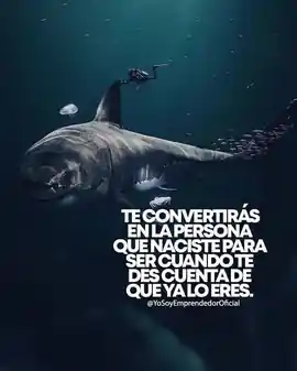 te_convertiras_en_la_persona_que_naciste_para_ser_cuando_te_des_cuenta_que_ya_lo_eres