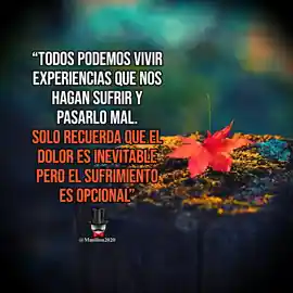 todos_podemos_vivir_experiencias_que_nos_hagan_sufrir_y_pasarlo_mal_solo_recuerda_que_el_dolor_es_inevitable_pero_el_sufrimiento_es_opcional