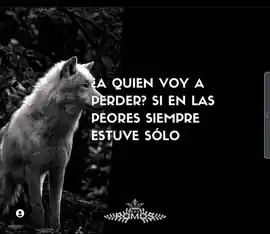 a_quien_voy_a_perder_si_en_las_peores_siempre_estuve_solo