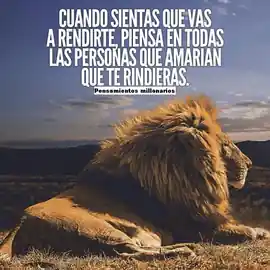 cuando_sientas_que_vas_a_rendirte_piensa_en_todas_las_personas_que_amarian_que_te_rindieras