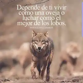 depende_de_ti_vivir_como_una_oveja_o_luchar_como_el_mejor_de_los_lobos